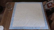 GIF by Hari & George Pets