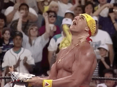 Hulk Hogan Sport GIF by WWE