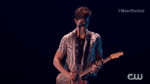 shawn mendes iheartfestival 2018 GIF by iHeartRadio