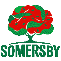 Summer Drink Sticker by Somersby Hungary
