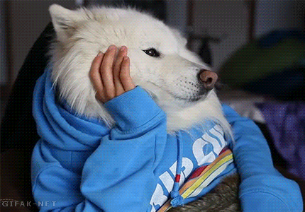 sysads giphyupload fun trending viral GIF