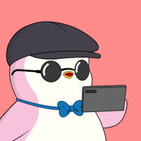 Video Recording GIF by Pudgy Penguins
