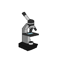 Microscope Veda Sticker