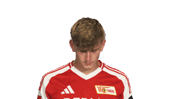 Look Up Union Berlin Sticker by Bundesliga