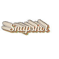Snapshot Nmi Sticker by UGA New Media Institute