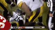 Pittsburgh Steelers Football GIF by NFL