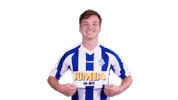 Voetbalvereniging_Scherpenzeel sport voetbal bal blauwwit Sticker