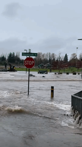 Roads, Schools Shut Down in Whatcom County Amid Flooding