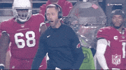 Arizona Cardinals Football GIF by NFL