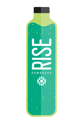 Bottle Mint Sticker by Rise Kombucha