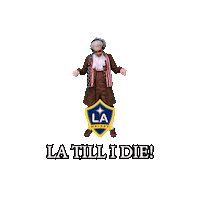 La Galaxy Mls Sticker