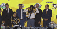 nhl sports sport hockey nhl GIF