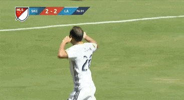 landon donovan celebration GIF by LA Galaxy