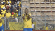 South Africa No GIF by CAF