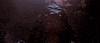 test GIF by RHUBER