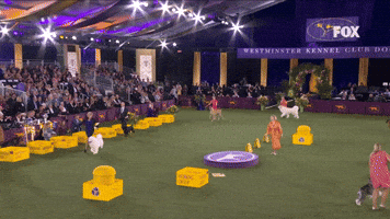 Working Group Winners