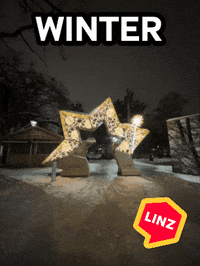 Party Wow GIF by Linz News