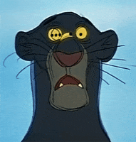 confused jungle book GIF