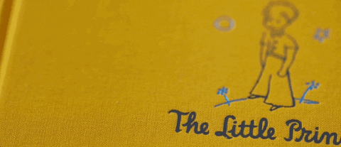 the little prince book GIF by The Orchard Films