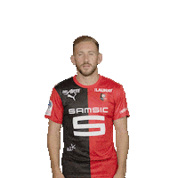 Tout Donner Football Sticker by Stade Rennais F.C.