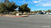 cruising driving GIF by Off The Jacks