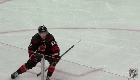 Happy Carolina Hurricanes GIF by NHL