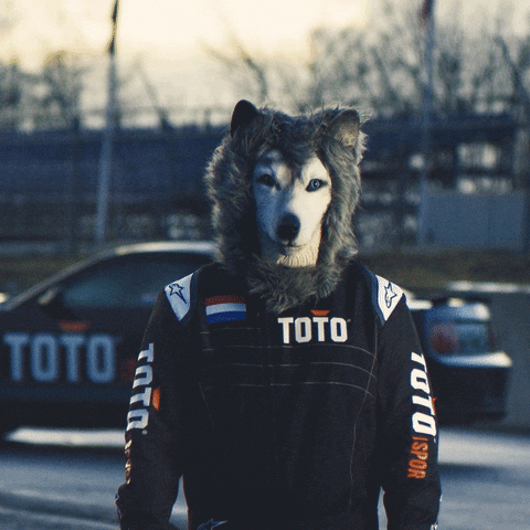 Formula 1 Reaction GIF by Toto