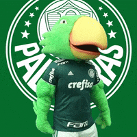 bravo hoje tem GIF by SE Palmeiras