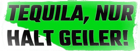 pablosskull giphygifmaker party mexico skull GIF