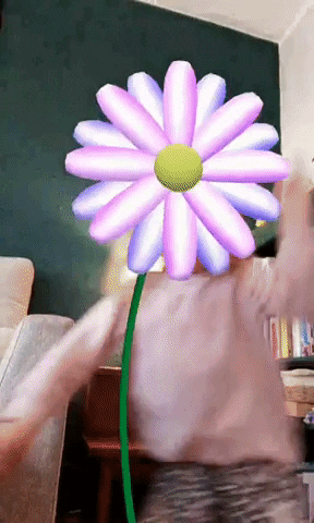 newcolorstudio giphyupload flower spark ar instagram filter GIF