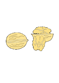 Herbst Sticker by Kugelzwei