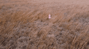 Warped Tour Emo GIF by Pure Noise Records