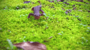 Run Running GIF by EDGARDUDE