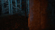Haunting Knocked Loose GIF by Pure Noise Records