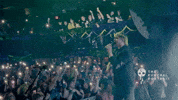 Concert Stay Weird GIF by Better Noise Music