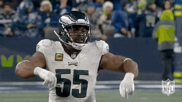 National Football League GIF by NFL