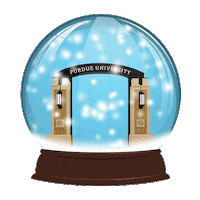 Black And Gold Snow Sticker by Purdue University