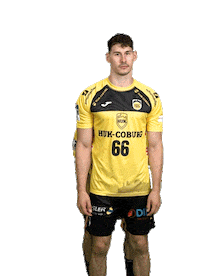 Handball Sticker by HSC 2000 Coburg