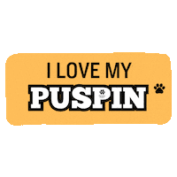 Cat Love Sticker by Pawssion Project Foundation Inc.