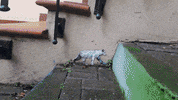 Climate Change Street GIF by Kaybid