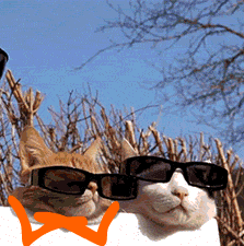 Shocked Mother Of God GIF