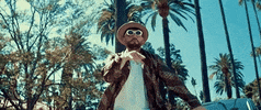 here GIF by Gashi