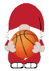 Basketball Sticker