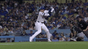 Major League Baseball Sport GIF by MLB