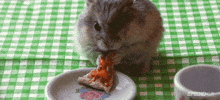 Pizza Eating GIF