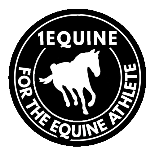 1Equine giphyupload horse horse racing equine Sticker