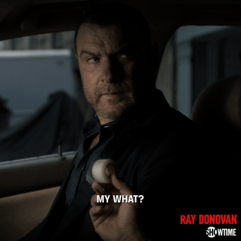 season 6 showtime GIF by Ray Donovan