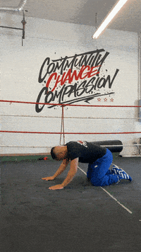 quinitboxing  GIF
