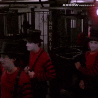 New York Film GIF by Arrow Video