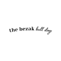 emilybezakwrites ebw emily bezak writes emily bezak bezak bullies Sticker